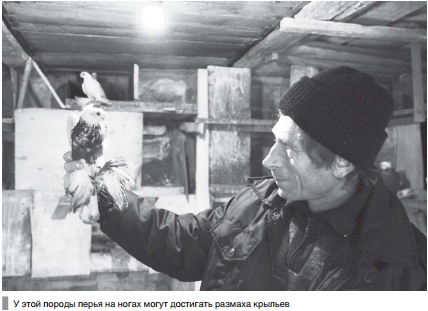 valeriy-kuzmichevskiy