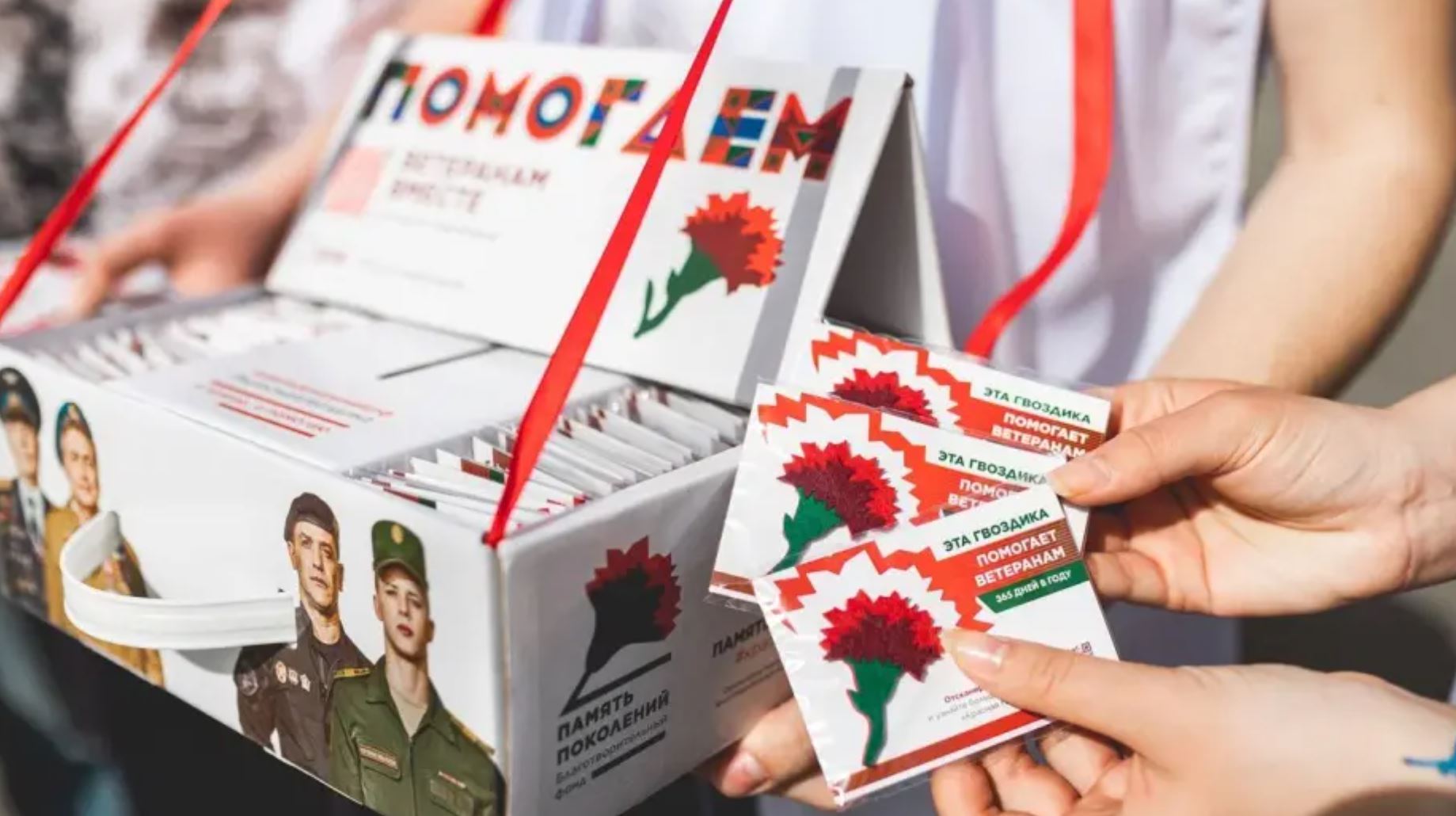 красная гвоздика воронеж