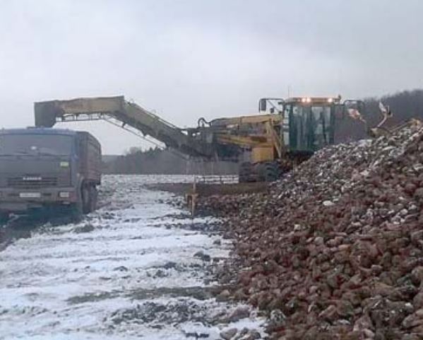 уборка сахарной свеклы