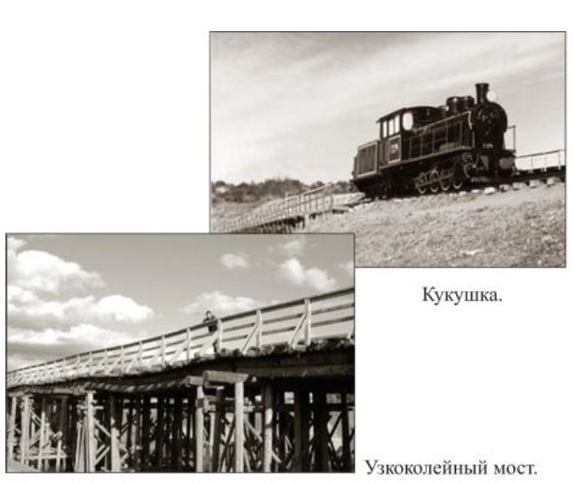 kukushonok