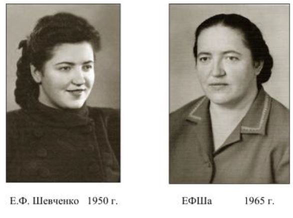shevchenko